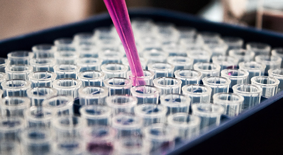 Lab